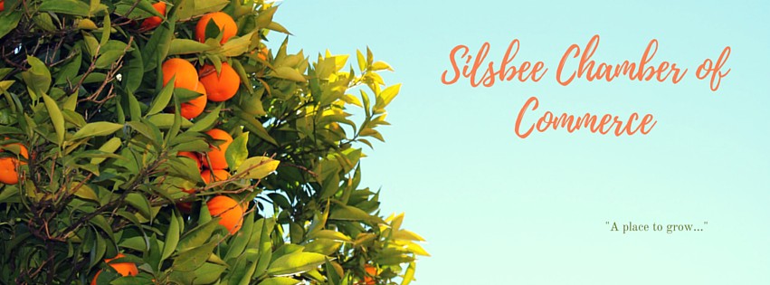Silsbee Chamber of Commerce, Silsbee Chamber networking event, Silsbee Chamber events, Silsbee Chamber mixer